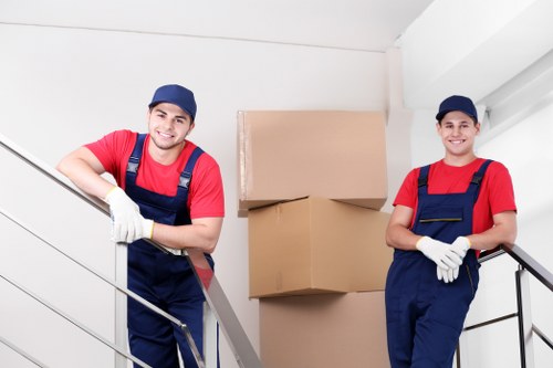 Student removals planning in Hollandpark with boxes and transport
