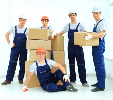 Professional packing and unpacking services in Hollandpark with organized moving boxes