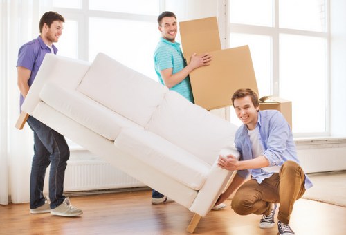 About Us Hollandpark Removals representing reliable local moving services