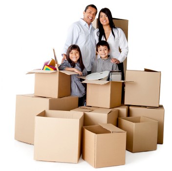 Different box sizes and specialty packing materials for packing in Hollandpark