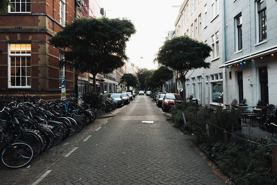 A quiet residential street within Holland Park Avenue during daylight hours, lined with parked cars on both sides and a row of evenly spaced, well-maintained trees along the pavements. On the left side, there are bicycles secured to metal bike racks near a brick building with large windows, while on the right side, there are additional parked cars and an outdoor seating area with small tables and chairs, some of which are set with potted plants. The street surface is paved with interlocking bricks, and the scene shows no pedestrians or moving vehicles, suggesting a peaceful environment suitable for home relocation or furniture transport. The setting is part of a professional removals service, with Holland Park Removals potentially involved in the loading or unloading process for house removals on this narrow street, which poses logistical considerations for moving services in urban areas.